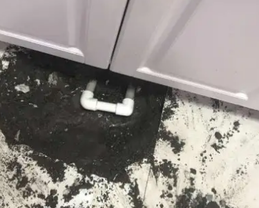 阳信查漏水哪家好